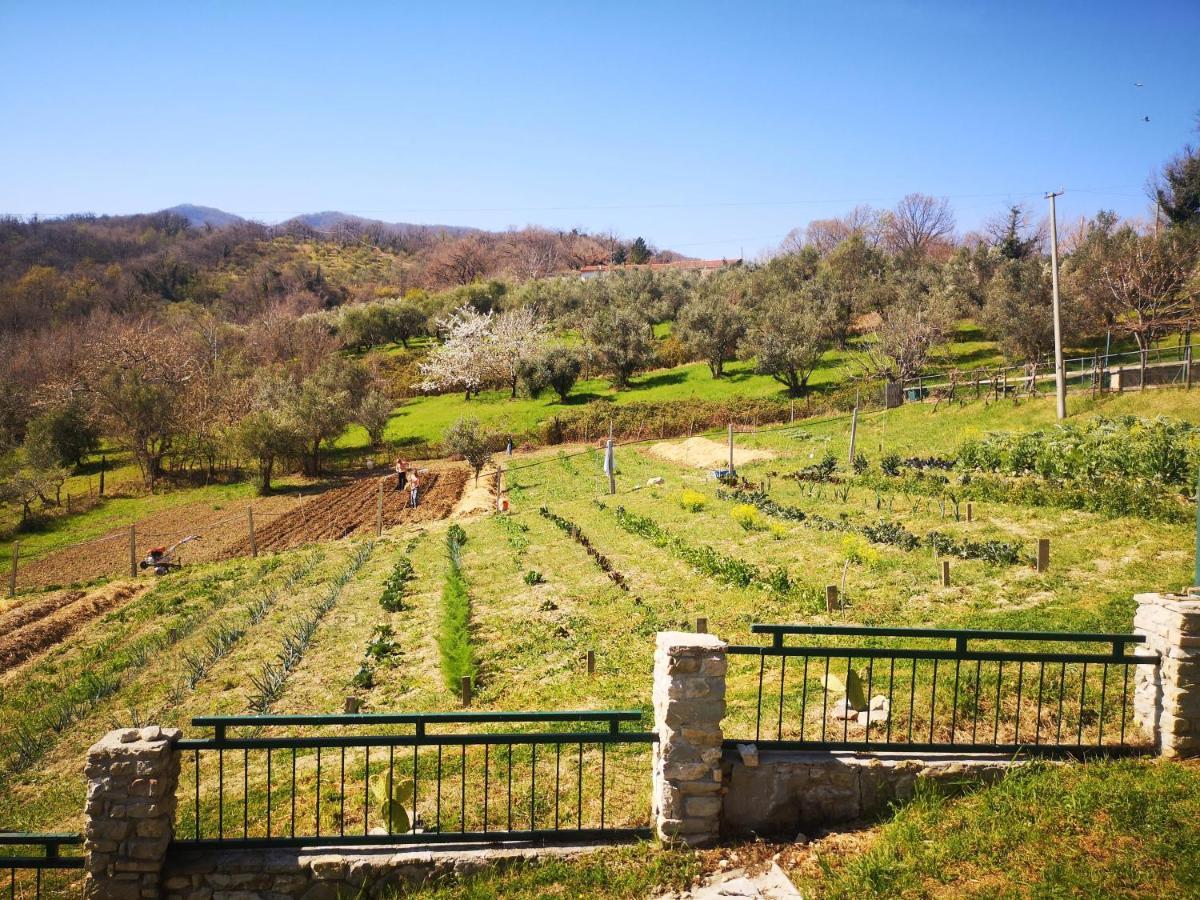 Agriturismo Olimpo Villa Santa Maria  Екстер'єр фото