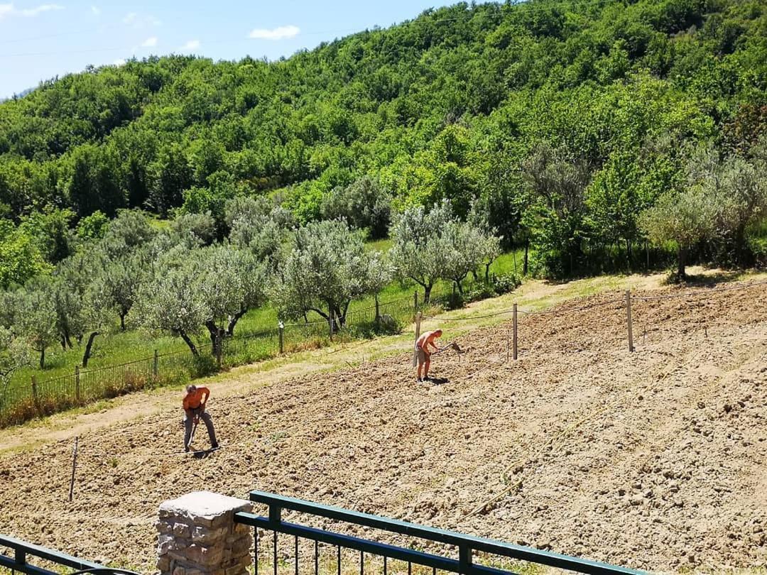 Agriturismo Olimpo Villa Santa Maria  Екстер'єр фото